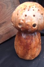 Cèpe pas un Champignon !