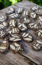 Pastèque Cekirdegi Oyali