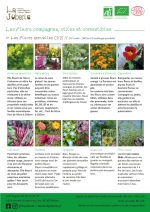 Plants bio armoise, amarante, bourrache, calendula, capucine, célosie, cosmos, ipomées, nigelle, pois coeur Page 14 Catalogue des plants - fleurs compagnes, utiles et comestibles