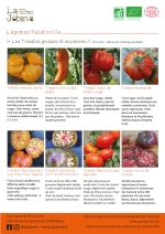 PLants bio de Tomate G Ananas jaune,
Tomate G Coeur de bœuf,
Tomate G cœur JAUNE,
Tomate G Cornue des andes,
Tomate G Green zebra,
Tomate G Marmande,
Tomate G Merveille,
Tomate G Noire de crimée,
Tomate G or/orange,
Tomate G vert-rose Page 2 Catalogue des plants - Légumes ratatouilles