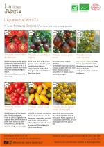 Plants bio de Tomate Cerise Black cherry,
Tomate Cerise Blush tiger,
Tomate Cerise Grappe jaune,
Tomate Cerise Miel du Mexique,
Tomate Cerise Prune rouge foncé,
Tomate Cerise Vert-caramel,
Tomate Cerise Voyage Page 3 Catalogue des plants - Légumes ratatouilles