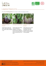 Plants bio d'Aubergine Barbentane,
Aubergine black beauty,
Aubergine rosa bianca Page 4 Catalogue des plants - Légumes ratatouilles