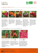 Plants bio de Piment de cayenne,
Piment gorria,
Poivron gros orange,
Poivron gros Pantos,
Poivron gros Vert,
Poivron mini CB,
Poivron mini CT Page 5 Catalogue des plants - Légumes ratatouilles