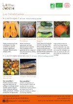 Plants bio de Courge Butternut,
Courge Éponge,
Courge musquée de Provence,
Potiron Solor,
courges coloquintes,
courge pleine de Naples Page 7 Catalogue des plants - Cucurbitacées