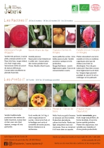Plants bio de Betterave noire d'Égypte
Betterave Tondo di Chioggia,
Navet jaune petrowski,
Navet blanc de mai,
Oignon doux jaune,
Oignon rouge Red Barron,
Patate douce Page 9 Catalogue des plants - légumes racines - fruits