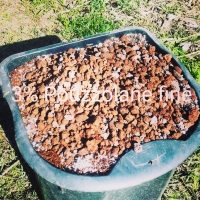 Différents éléments composant le substrat spécial catus et succulentes pour les décompositions végétales.